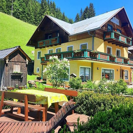 Ski- Und Wander Appartements Schiffer ان كارنتين المظهر الخارجي الصورة