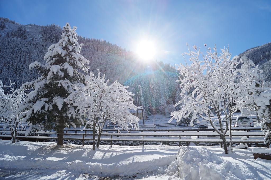 Ski- Und Wander Appartements Schiffer ان كارنتين المظهر الخارجي الصورة