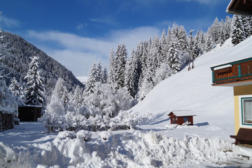 Ski- Und Wander Appartements Schiffer ان كارنتين المظهر الخارجي الصورة