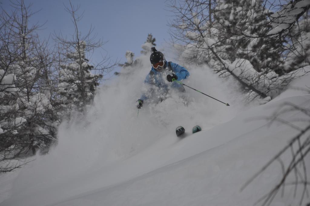 Ski- Und Wander Appartements Schiffer ان كارنتين المظهر الخارجي الصورة